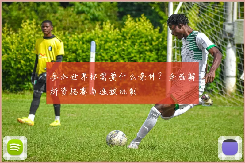 参加世界杯需要什么条件？全面解析资格赛与选拔机制