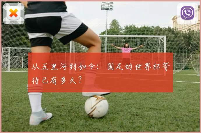 从五里河到如今：国足的世界杯等待已有多久？