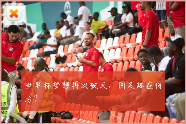 世界杯梦想再次破灭，国足路在何方？