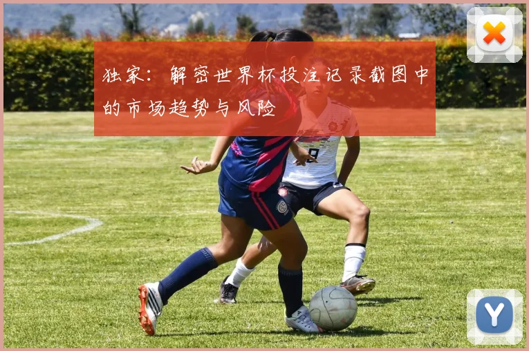 独家：解密世界杯投注记录截图中的市场趋势与风险