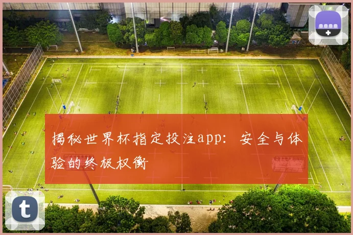揭秘世界杯指定投注app:安全与体验的终极权衡