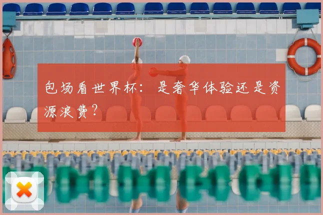 包场看世界杯：是奢华体验还是资源浪费？