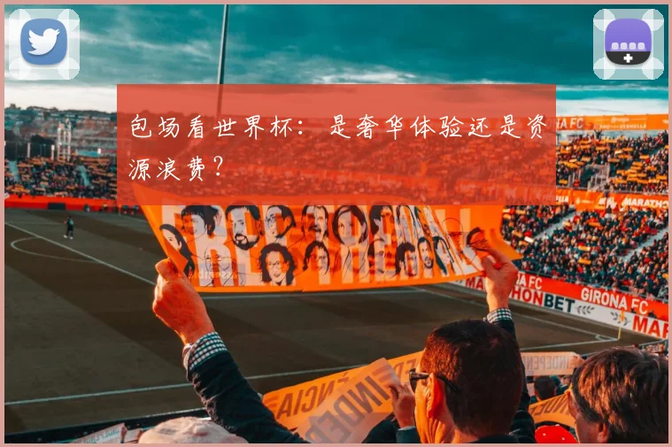 包场看世界杯：是奢华体验还是资源浪费？